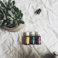 17255454236_6c5cf442cc_m