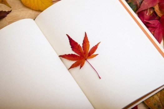 maple-leaf-in-open-book
