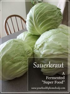 GAPS_Graphic_Sauerkraut