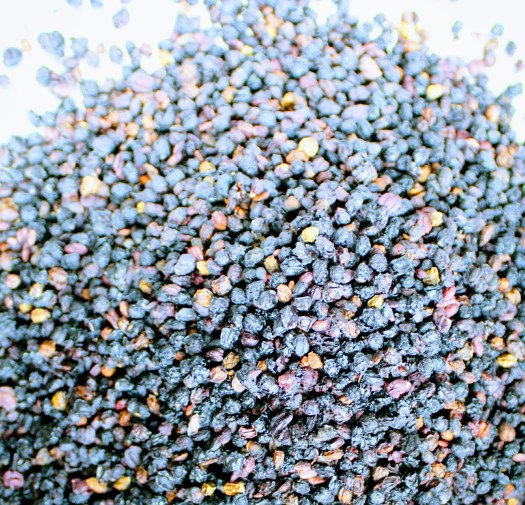 20171012150247_IMG_1030